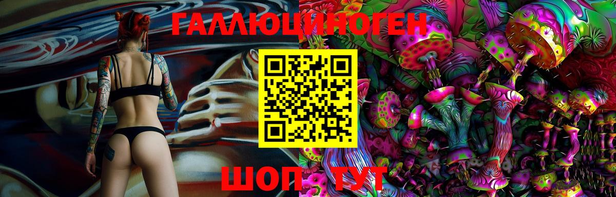 Галлюциногенные грибы Psilocybine cubensis Нерюнгри
